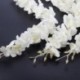 5X (FEHÉR Művirágok Wisteria Kerti lógó virágok Szőlődíszítés X5N2