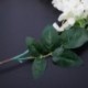 5X (FEHÉR Művirágok Wisteria Kerti lógó virágok Szőlődíszítés X5N2