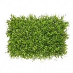 2X (60x40cm mesterséges rét műfüves falpanel esküvőre vagy házirendre V1G0)