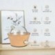 Víztelen aromák Difusor Aromaterapia aromaterápiás illóolajok diffúzorok