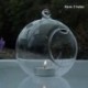 2X (12 db 80 mm-es függő Tealight tartó üveggömbök Terrárium esküvői gyertya F6E3