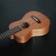 Koncert Ukulele 4 húrok Hawaii mini gitár hangszerek Begi C2Y4