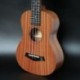 Koncert Ukulele 4 húrok Hawaii mini gitár hangszerek Begi C2Y4