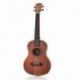 26 hüvelykes mahagóni fa 18 Fret Tenor Ukulele akusztikus kivágott gitár Mahogan W8G1