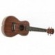 Yael 23 hüvelykes koncert Ukulele 4 húros Hawaii mini gitár Uku Coffee Acous F5F1