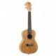 2X (Koncert Ukulele 4 húrok Zebrawood Guitar 23 hüvelykes szoprán Ukulele Begin S3Q7