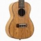 2X (Koncert Ukulele 4 húrok Zebrawood Guitar 23 hüvelykes szoprán Ukulele Begin S3Q7