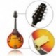 IRIN 8-húros elektromos mandolin A stílusú rózsafa fingerboard állítható Str D7W8