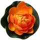 Hab Lotus úszó víz növényi akvárium dísz, narancssárga rügyek J1T7 V8U3 R2R4