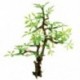1X (Műanyag Bonsai zöld fa akvárium dísz haltartály víz alatti dekoráció O W9Z8