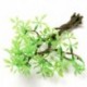 1X (Műanyag Bonsai zöld fa akvárium dísz haltartály víz alatti dekoráció O W9Z8