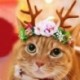 1X (karácsonyi kedvtelésből tartott macska kutya sapkák Rénszarvas kalap fejfedő fejdísz a Pet Holid N3J8-hoz