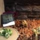 Gyanta etetőtál ivó tál terrárium hüllő Vivarium teknős Gecko J4Q6