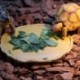 Gyanta etetőtál ivó tál terrárium hüllő Vivarium teknős Gecko J4Q6