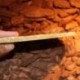 Gyanta etetőtál ivó tál terrárium hüllő Vivarium teknős Gecko G1J8