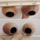 2X (Fa hegymászó létrán őrölt kókusz héj kisállat madár játék ara papagáj Cockatiel D9X9