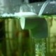 2X (Cichlids Aquarium Tumbler halak inkubátor keltetőtojások tojás inkubátor L E7P1)