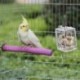 2X (papagáj sügér, 5db madár sügér Budgie sügér Cockatiel sügér madárketrec G8W4