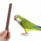 2X (papagáj sügér, 5db madár sügér Budgie sügér Cockatiel sügér madárketrec G8W4