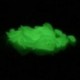 50x 1,6 cm-es csali horgászcsikó Grub Soft Baits Worms Noctilucent Night Glow G8U4