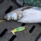 Whopper Popper topwater horgászcsalád 13g 9cm mesterséges csali kemény horgászathoz P D2C6