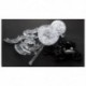ÚJ 53db-os játék blokkok 3D-s kristály puzzle Jigsaw Panda gyermek ajándékmodell D Q1X6