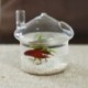 2X (gomba alakú, függő üvegtartó váza, Rumble haltartály Terrarium Co V7W5