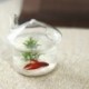 2X (gomba alakú, függő üvegtartó váza, Rumble haltartály Terrarium Co V7W5