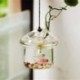 2X (gomba alakú, függő üvegtartó váza, Rumble haltartály Terrarium Co V7W5