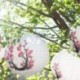 9X (3 piros Sakura (cseresznye) virág készlet, fehér színű, kínai / japán La D8C1 papír)