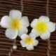 3 db Hawaii Plumeria virág fejdísz hajcsavar Barrette hajcsipesz Accesso N4K5