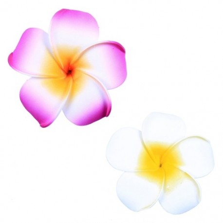 6 db női Plumeria virágos hajvágó kiegészítők Barrette hawaii esküvő Q1O6