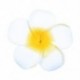 6 db női Plumeria virágos hajvágó kiegészítők Barrette hawaii esküvő Q1O6
