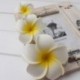 6 db női Plumeria virágos hajvágó kiegészítők Barrette hawaii esküvő Q1O6