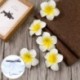 6 db női Plumeria virágos hajvágó kiegészítők Barrette hawaii esküvő Q1O6