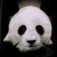 8X (3D nyeregtáska hátizsák Unisex iskolai hátizsák diák hátizsák (Panda) L7X2)