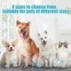 100 db választható méretű kisállat pelenka kisállat kutya szuper abszorbens kutya edzőpad antibakteriális dezodor