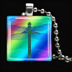 RAINBOW DRAGONFLY rovar pillangó tavaszi kerti üvegcsempe medál nyaklánc