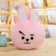 BT12 - COOKY plüss - KPOP - BTS - Bangtan Boys