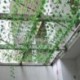 Görögdinnye szőlő - 200 cm-es Ivy Leaf Garland zöld növény műanyag szőlőlomb otthoni kerti díszek