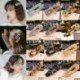 * 19 - Női Retro Hajcsíptető Bobby Pin Leopard Hajszalag hajtű Barrette Comb hozzáférés
