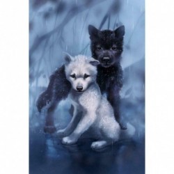 Wolf04 - 5D barkács teljes fúrással gyémántfestés farkaskeresztes hímzés mozaik készlet