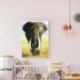 2 * Elefant 30 * 40cm - Art teljes körű fúró kép elefánt 5D készlet DIY gyémánt festmény rajz