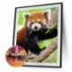 Nincs szín - 5D barkács teljes körű fúró gyémántfestés hegymászás Koala keresztszemes díszítéssel