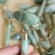 Nincs szín - Természetes rózsakvarc arc Jade Stone Roller masszázs eszköz Arcmasszírozó USA