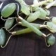 Nincs szín - Természetes rózsakvarc arc Jade Stone Roller masszázs eszköz Arcmasszírozó USA