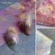 Körömdíszítő márvány mintás fólia körömhöz - műkörömhöz - 1-es verzió