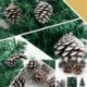 3db 6x7cm-es Boldog Karácsonyt feliratos - Mackó mintás fa dísz - Karácsonyi dekoráció - 3