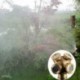3 lyuk - Lyuk Sárgaréz Spray ködösítő fúvóka Sprinkler Head Garden Farm öntözőrendszer 1PC