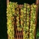 Nincs szín - 2.6M műselyem napraforgó levelek Ivy Vine Garland Party lakberendezés